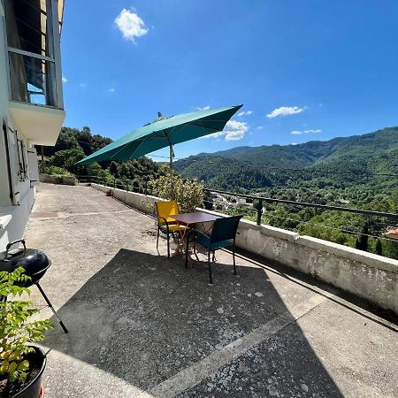 Gite Le Tour 45 M2 Cevennes Lozere Le Collet-de-Dèze 外观 照片